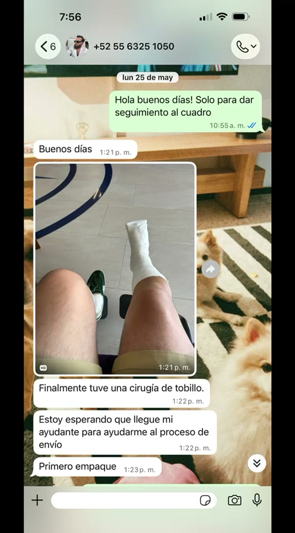 Evidencia: 4. La excusa escala