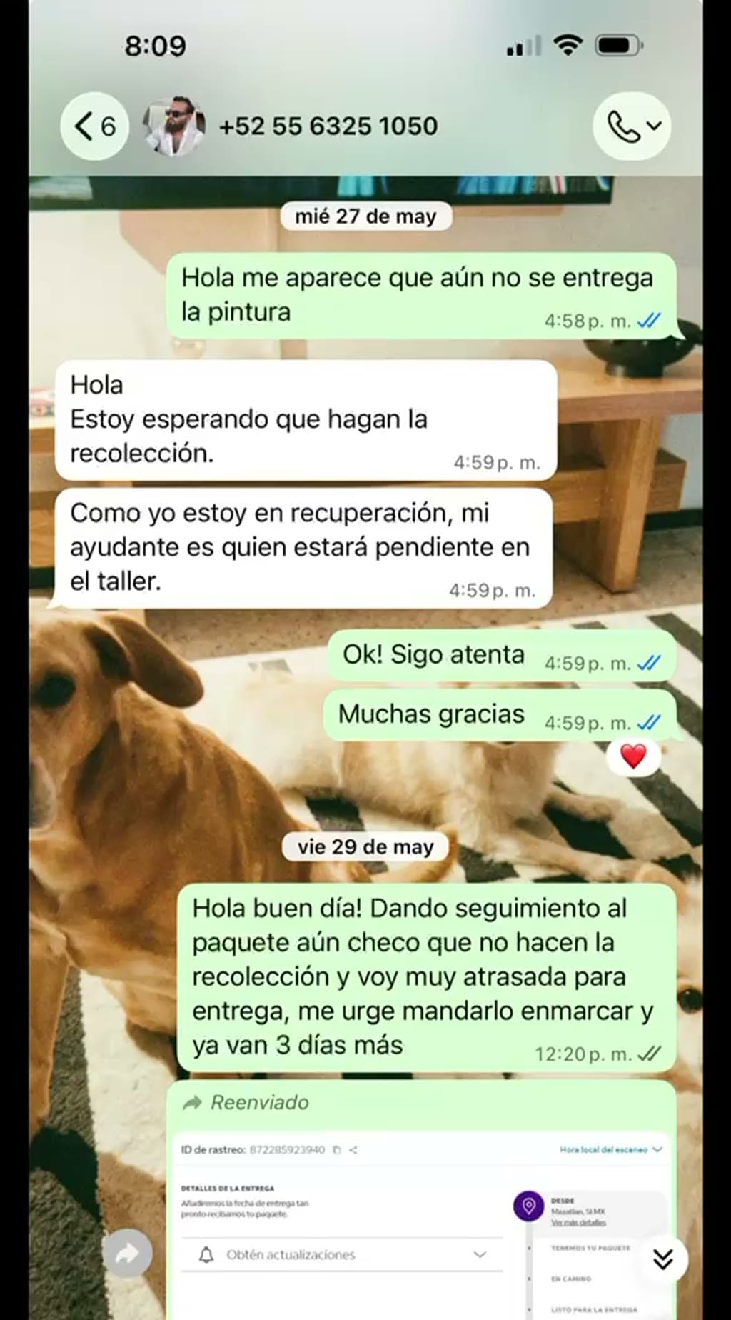 Evidencia: 7. Más largas